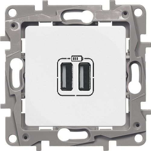 Розетка USB тип A+A без рамки Legrand Etika 2-м. 2400мА белый картинка